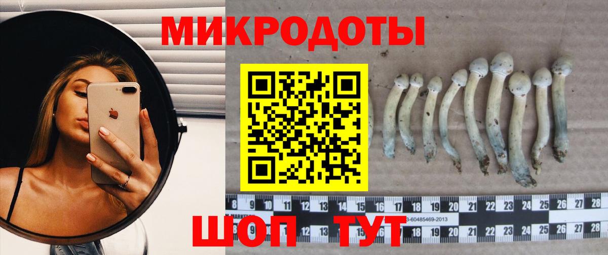 Псилоцибиновые грибы ЛСД Москва