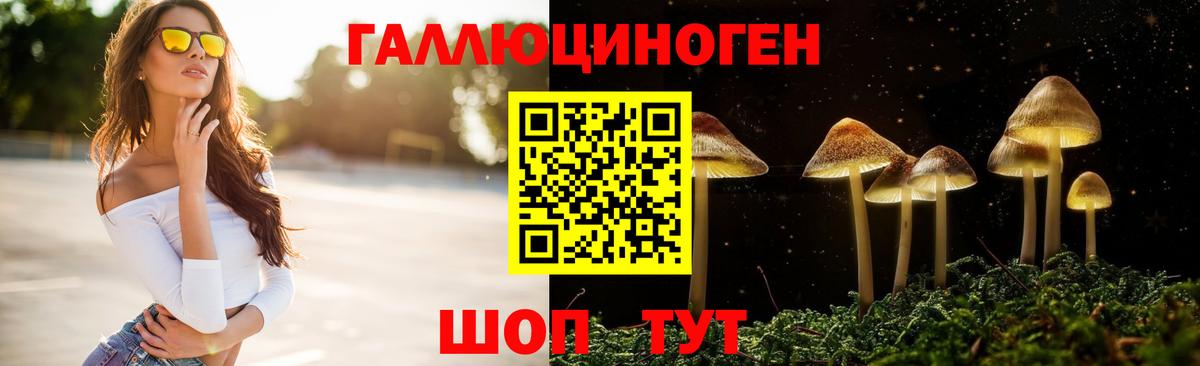 Галлюциногенные грибы ЛСД  Вход с VPN  Москва  Псилоцибиновые грибы Psilocybe 
